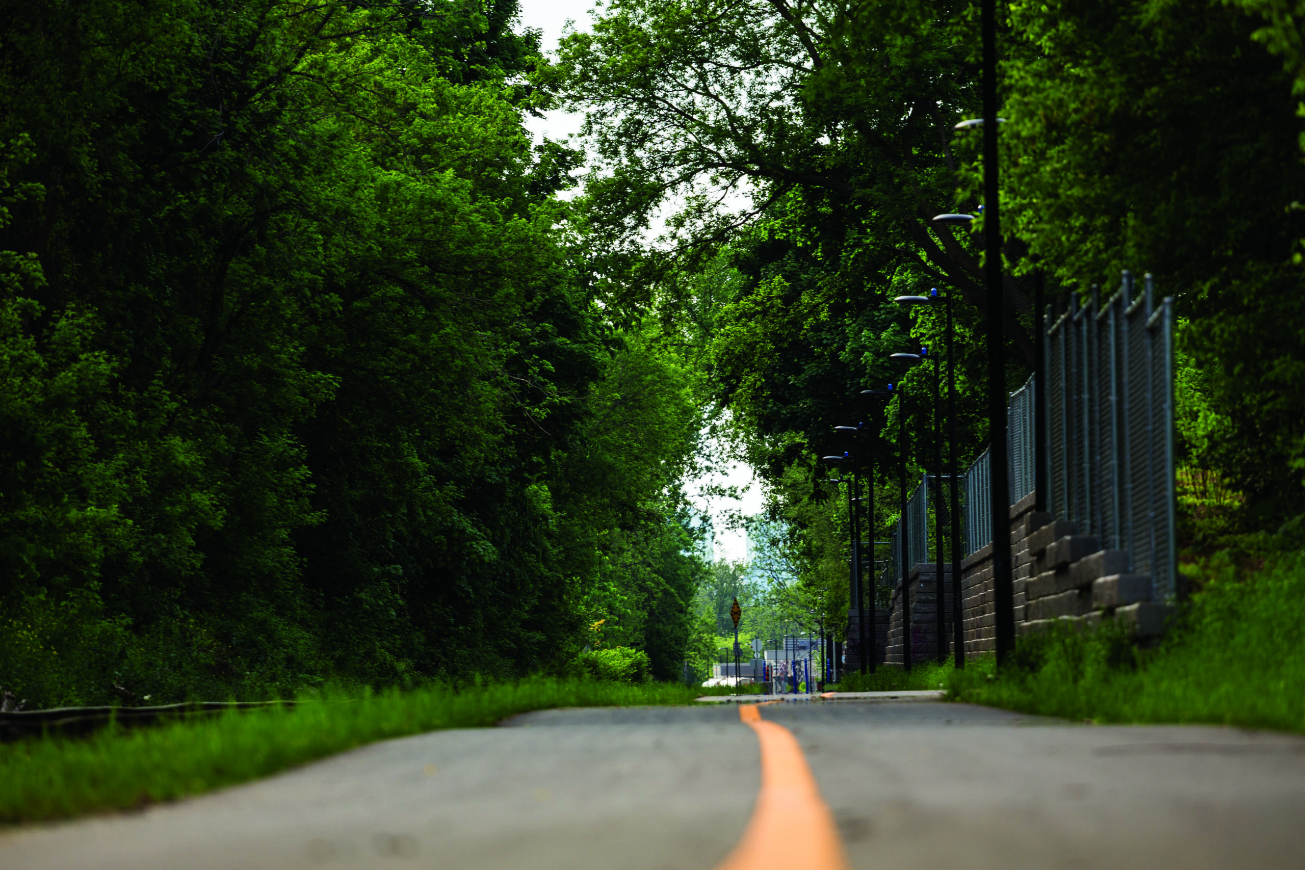 If Bike Lanes Could Talk: The Spur Line