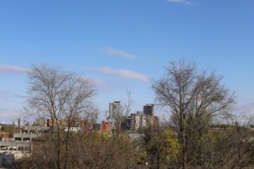 Photo of the Waterloo, Ontario skyline, featuring apartment buildings and bare trees.