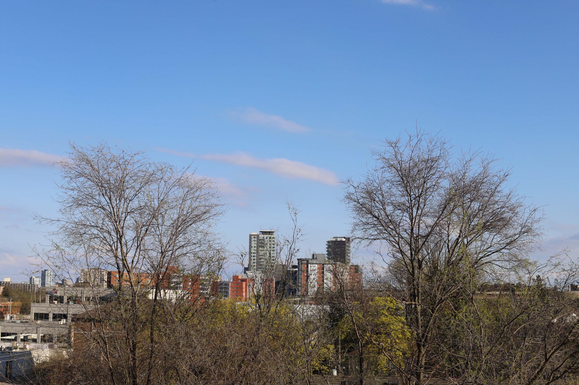 LOOKING AT WATERLOO REGION IN THE CONTEXT OF THE GLOBAL CLIMATE CRISIS