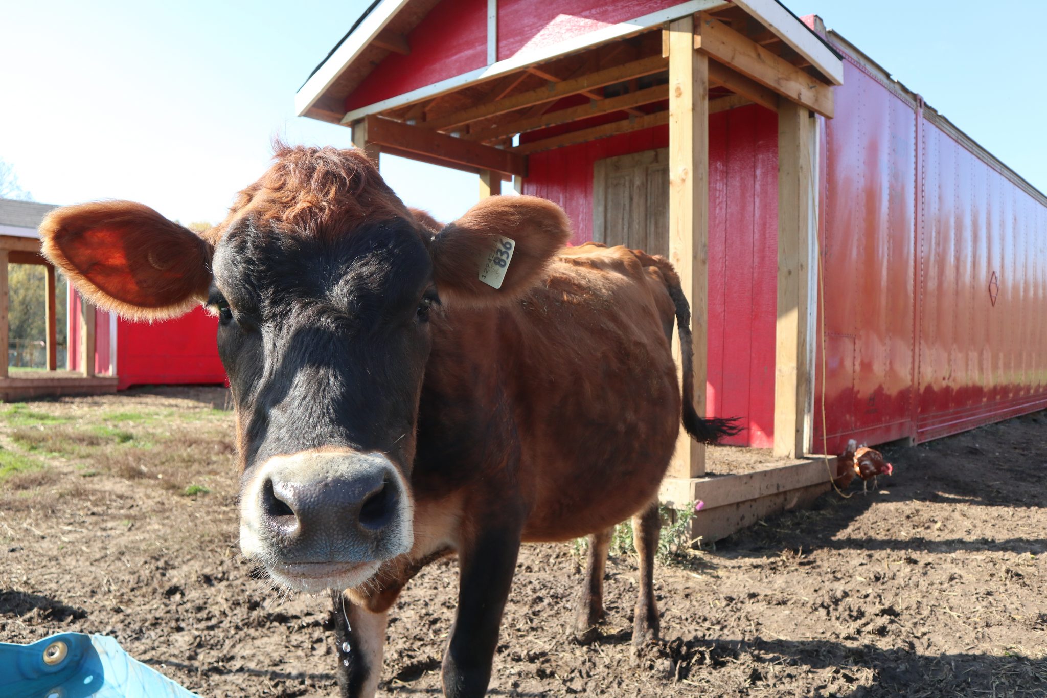 How A Preston Farm Is Growing Hope