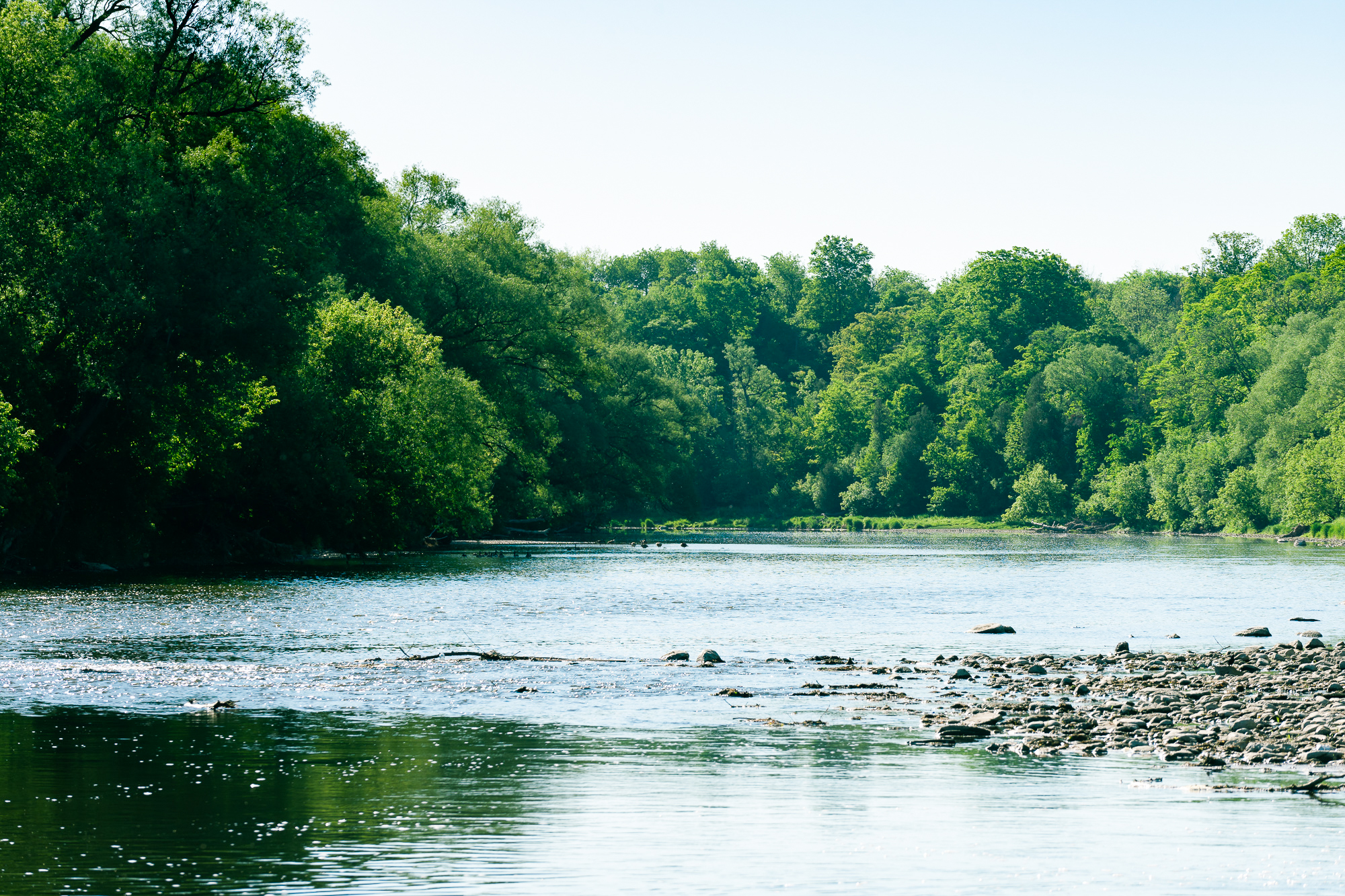 Cambridge Resident advocates for creating memorial place to scatter ashes on the Grand River