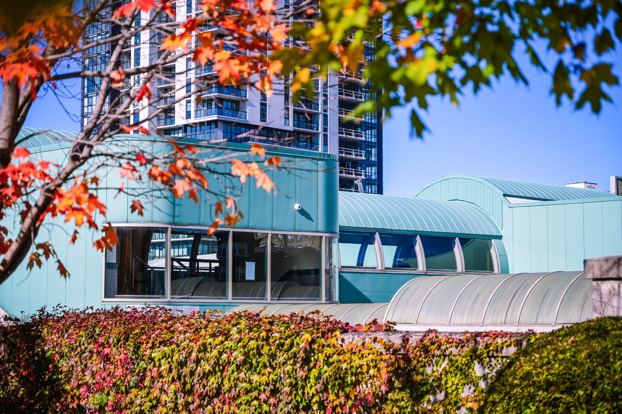 Locals petition to transform former Charles St. Terminal into a Hub for the Indigenous community