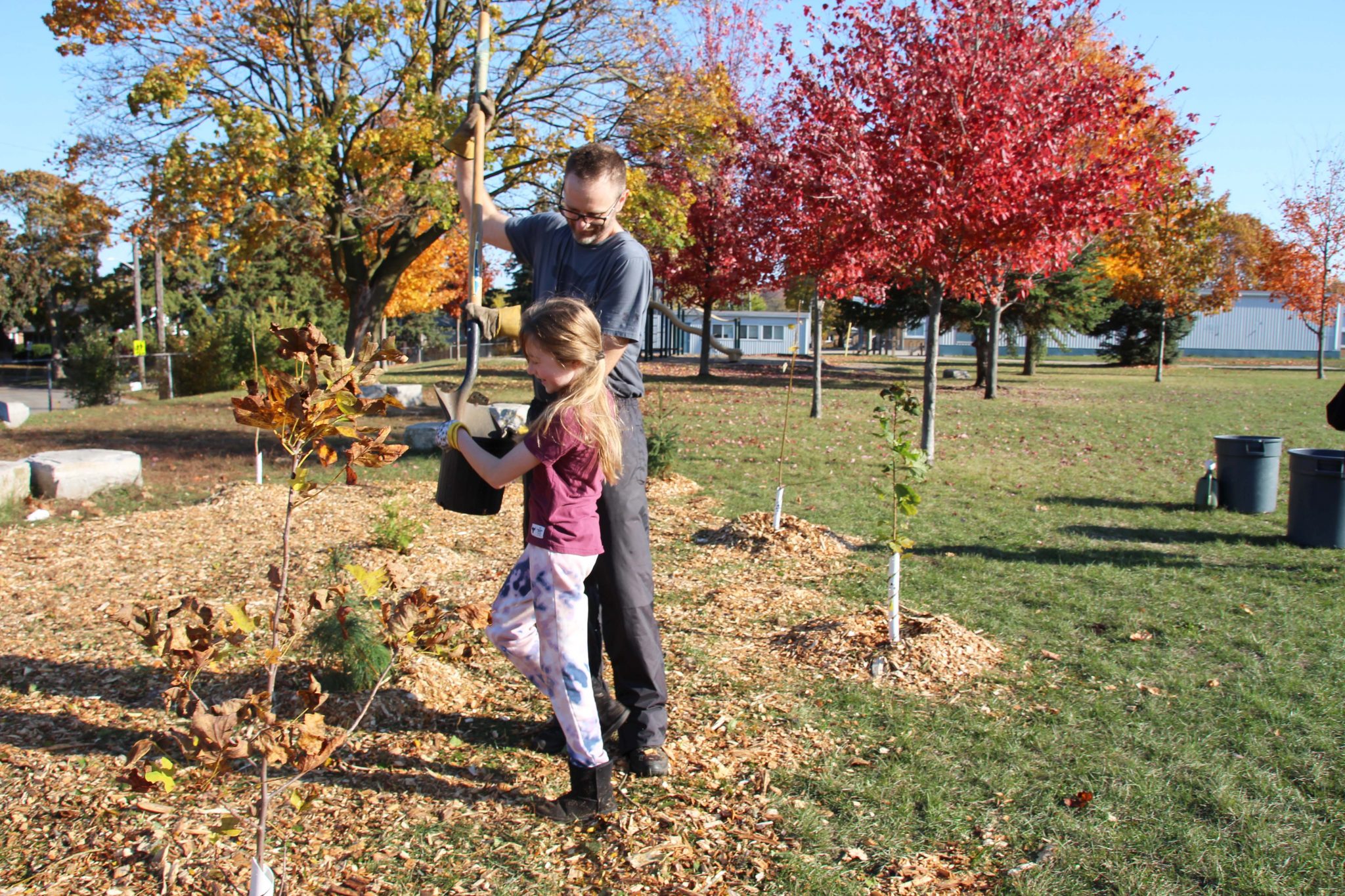 WILSON AVENUE PUBLIC SCHOOL PLANTS MICROFOREST WITH COMMUNITY PARTNERS